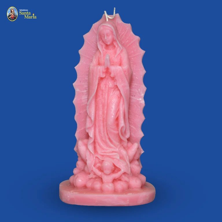 Virgen guadalupe